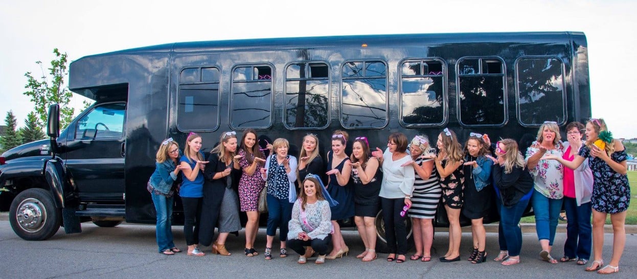 professional limo bus company fairview heights